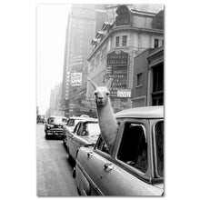 Lade das Bild in den Galerie-Viewer, Gute-Laune-Poster: Lama in New York