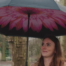 Laden und Abspielen von Videos im Galerie-Viewer, Upside-down-Regenschirm - Wenn das Wetter kopfsteht
