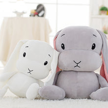 Lade das Bild in den Galerie-Viewer, Kuscheltierliebe: Flauschig weicher Hase
